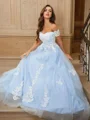 A-Line/Princess Tulle Applique Off-the-Shoulder Sleeveless Sweep Train Dresses