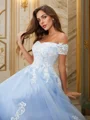 A-Line/Princess Tulle Applique Off-the-Shoulder Sleeveless Sweep Train Dresses