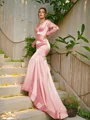Sheath/Column Silk like Satin Ruched V-neck Long Sleeves Sweep Train Dresses