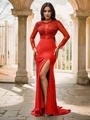 Trumpet/Mermaid Jersey Applique Scoop Long Sleeves Sweep Train Dresses