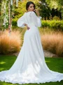 A-Line/Princess Chiffon Ruffles V-neck Long Sleeves Sweep Train Wedding Dresses