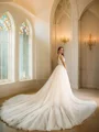 A-Line/Princess Tulle Applique V-neck Sleeveless Cathedral Train Wedding Dresses