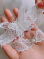Sweet Bridal/Feminine Lace With Imitation Pearl Garters