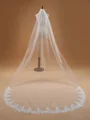 Elegant Tulle With Lace Wedding Veils