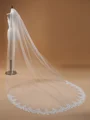 Elegant Tulle With Lace Wedding Veils