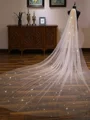 Gorgeous Tulle One-Tier Cathedral Bridal Veils With Sequins