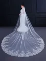 Trending Tulle With Lace Long Wedding Veils