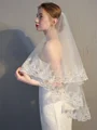 Charming 2 Layer Tulle With Lace Wedding Veils