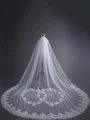 Beautiful Tulle With Lace Long Wedding Veils