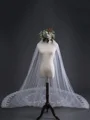 Beautiful Tulle With Lace Long Wedding Veils