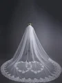 Beautiful Tulle With Lace Long Wedding Veils