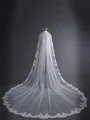 Elegant Tulle With Lace Long Wedding Veils