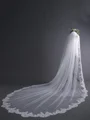 Elegant Tulle With Lace Long Wedding Veils