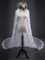 Elegant Tulle With Lace Long Wedding Veils