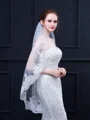 Attractive Tulle With Lace Wedding Veils