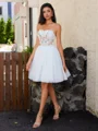A-line Straight Appliques Lace Short/Mini Tulle Corset Dress