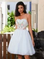 A-line Straight Appliques Lace Short/Mini Tulle Corset Dress