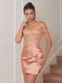 Sheath Appliques Lace Short/Mini Silk Like Satin Corset Convertible Dress
