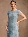 A-Line/Princess Tulle Lace Scoop Short Sleeves Floor-Length Mother of the Bride Dresses