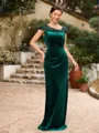 Sheath/Column Velvet Ruched V-neck Sleeveless Floor-Length Mother of the Bride Dresses