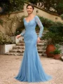 Sheath/Column Tulle Applique V-neck Long Sleeves Sweep/Brush Train Mother of the Bride Dresses