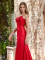 Sheath V-neck Appliques Lace Sweep Train Corset Dress