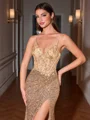 Sheath V-neck Appliques Lace Sweep Train Corset Evening Dress