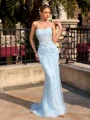 Sheath Straight Appliques Lace Sweep Train Tulle Corset Prom Dress