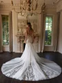 Trumpet/Mermaid Tulle Lace V-neck Sleeveless Cathedral Train Wedding Dresses