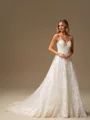 A-line V-neck Appliques Lace Chapel Train Tulle Wedding Dress