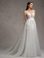 A-line V-neck Appliques Lace Chapel Train Tulle Wedding Dress