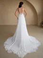 A-line V-neck Appliques Lace Cathedral Train Chiffon Wedding Dress
