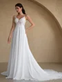 A-line V-neck Appliques Lace Cathedral Train Chiffon Wedding Dress