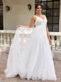 A-line V-neck Appliques Lace Court Train Tulle Plus Size Wedding Dress