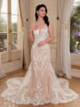 Sheath V-neck Appliques Lace Cathedral Train Tulle Wedding Dress