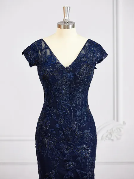 Sheath/Column V-neck...