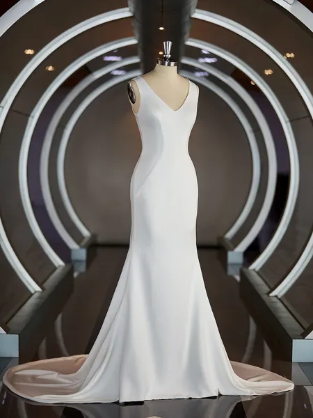 Sheath/Column V-neck Sweep...