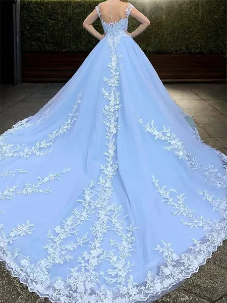 Ball-Gown Scoop Appliques...