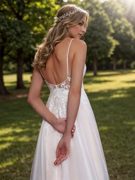 A-line Organza Appliques...