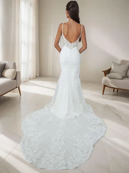 Sheath V-neck Appliques...