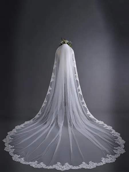 Elegant Tulle With Lace Long Wedding Veils