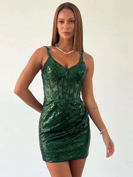 Sheath V-neck Appliques...