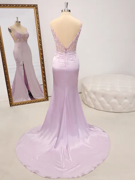 Sheath V-neck Appliques...