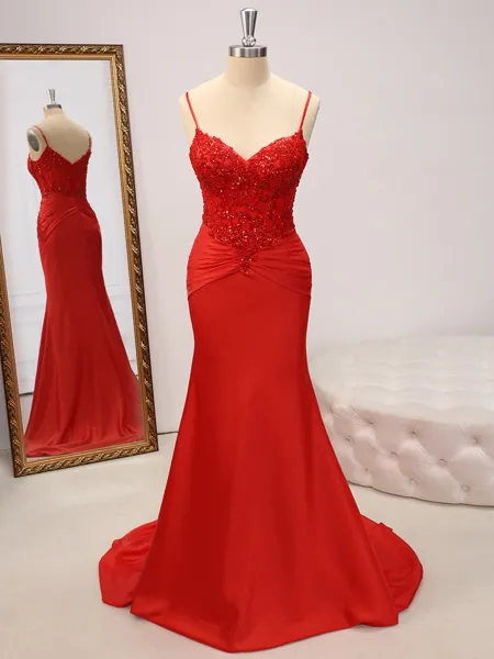 Sheath V-neck Appliques...