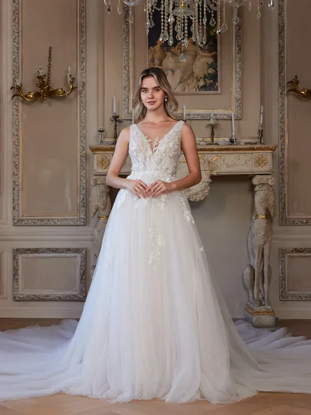 A-Line/Princess Tulle Applique V-neck Sleeveless Cathedral Train Wedding Dresses