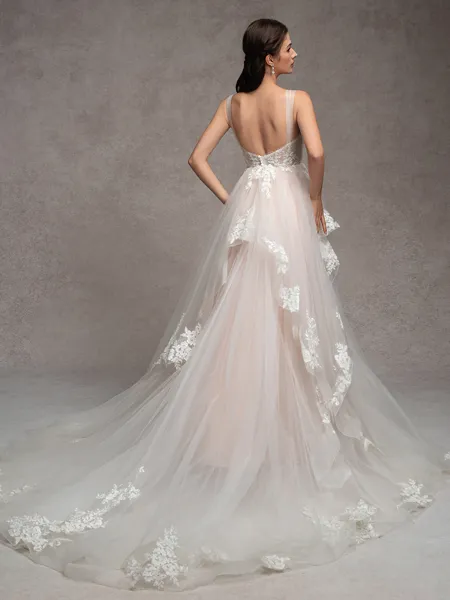 A-line Straps Appliques...