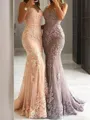 Sheath/Column Spaghetti Straps Sweep Train Tulle Prom Dress With Appliques Lace