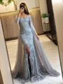 Trumpet/Mermaid Off-the-Shoulder Sweep Train Tulle Prom Dress With Leg Slit