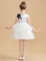 A-Line/Princess Scoop Short/Mini Tulle Junior Bridesmaid Dresses With Appliques Lace