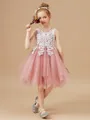 A-Line/Princess Scoop Knee-Length Tulle Junior Bridesmaid Dresses With Appliques Lace